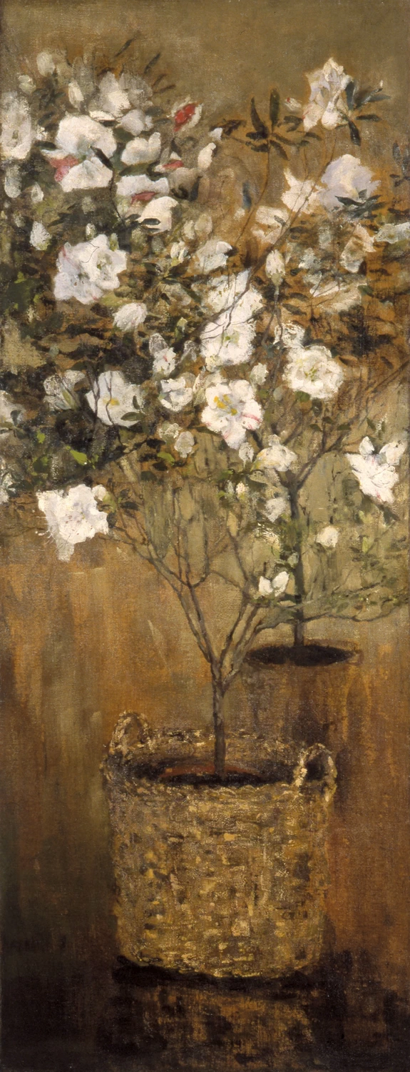 Le azalee - Museo Segantini, St. Moritz